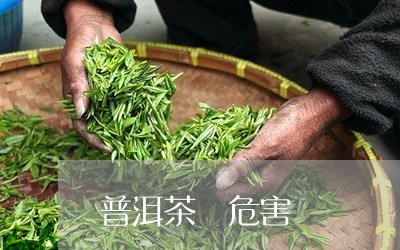 普洱茶 危害/2023042917389